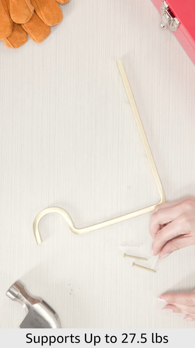 Amazon.com: National Hardware N275-508 Extended Wall Hook, 9